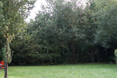 1_DSC00117