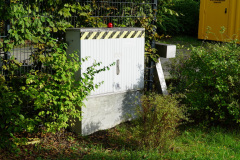 DSC00101