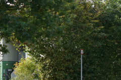 DSC00134