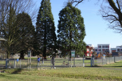 DSC00137
