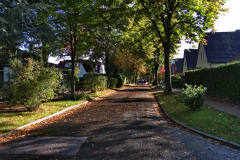 DSC01297
