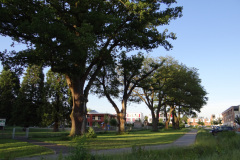 DSC03344