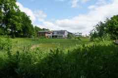 DSC08401