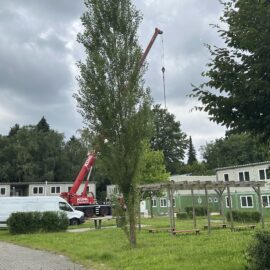 Sozialbehörde teilt mit: Letzten Bewohner der Flüchtlingsunterkunft beziehen heute neue Unterkünfte